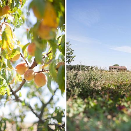 파르마 Agriturismo Il Mondo 게스트하우스 외부 사진